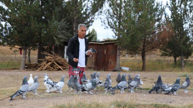 Dünya Sivas efsanesinin peşinde. Değeri yarım milyonu aştı