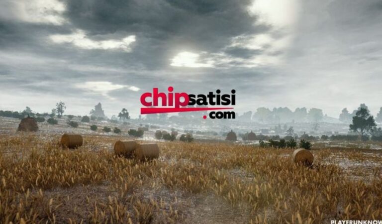 Zynga Poker Chip İhtiyaçlarınızda 7/24 Güvenilir Çözüm